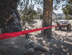 Big Daddy Weavable Recovery Rope tied to Tree